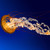 :iconclock129: