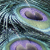 :iconclockworkandroid: