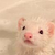 :iconclockworkcourier: