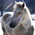 :iconcloedolldesigns: