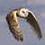 :iconclouds-owl: