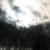 :iconcloudshaper514: