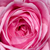 :iconcloudsnsun: