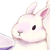 :iconcloudybunny: