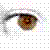 :iconcloudyiris: