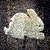 :iconcloudyperception: