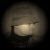 :iconclovekxy: