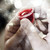 :iconclover-syndrome: