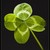 :iconclover177: