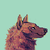 :iconclovercats: