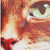 :iconcloverclaw: