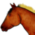 :iconcloverkeystables:
