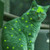 :iconcloverleafwishclan: