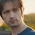 :iconcloververona: