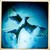 :iconclovexgames: