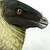 :iconclubpenguindino: