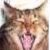 :iconclubroar: