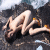 :iconclummer: