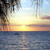 :iconclw158ff: