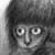 :iconclytze: