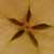 :iconcma-stock: