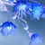 :iconcmcbear: