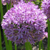 :iconcmd1234: