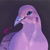 :iconcmdrlinix: