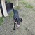 cmile571 :iconcmile571: