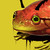 :iconcmokart: