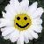 :iconCmonSMILE: