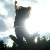 :iconcn-photography: