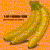 :iconcntmplatngyllw: