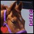 :iconco-star: