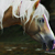 :iconcoal-mine-canary: