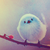 :iconcoast-off: