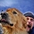 :iconcoastlinephotography: