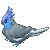:iconcobalt-cockatiel: