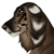 :iconcobaltopia: