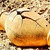 :iconcobblesmacker: