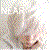 :iconcocbys: