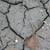 :iconcocci-naine: