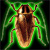 :iconcockroach-siyk: