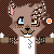 :iconcoco-adopts: