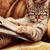 :iconcocoart:
