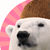 Coconut-Polarbear :iconcoconut-polarbear: