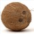 :iconcoconut3000: