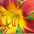 :iconcoconut5656: