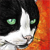:iconcocowash: