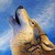 :iconcocowolfthing: